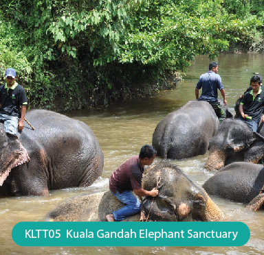 Kuala Gandah Elephant Sanctuary / Deerland & Batu Caves