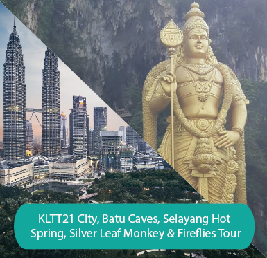 City, Batu Caves, Selayang Hot Spring, Silver Leaf Monkeys & Fireflies Tour