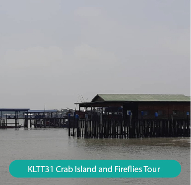 Crab Island and Fireflies Tour