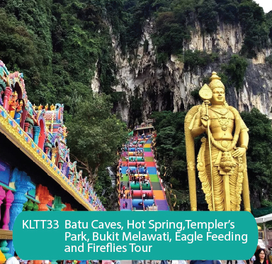 Batu Caves, Hot Spring, Temper’s Park, Bukit Melawati, Eagle Feeding and Fireflies Tour