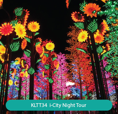 I-City Night Tour