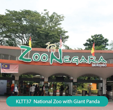 National Zoo with Giant Panda
